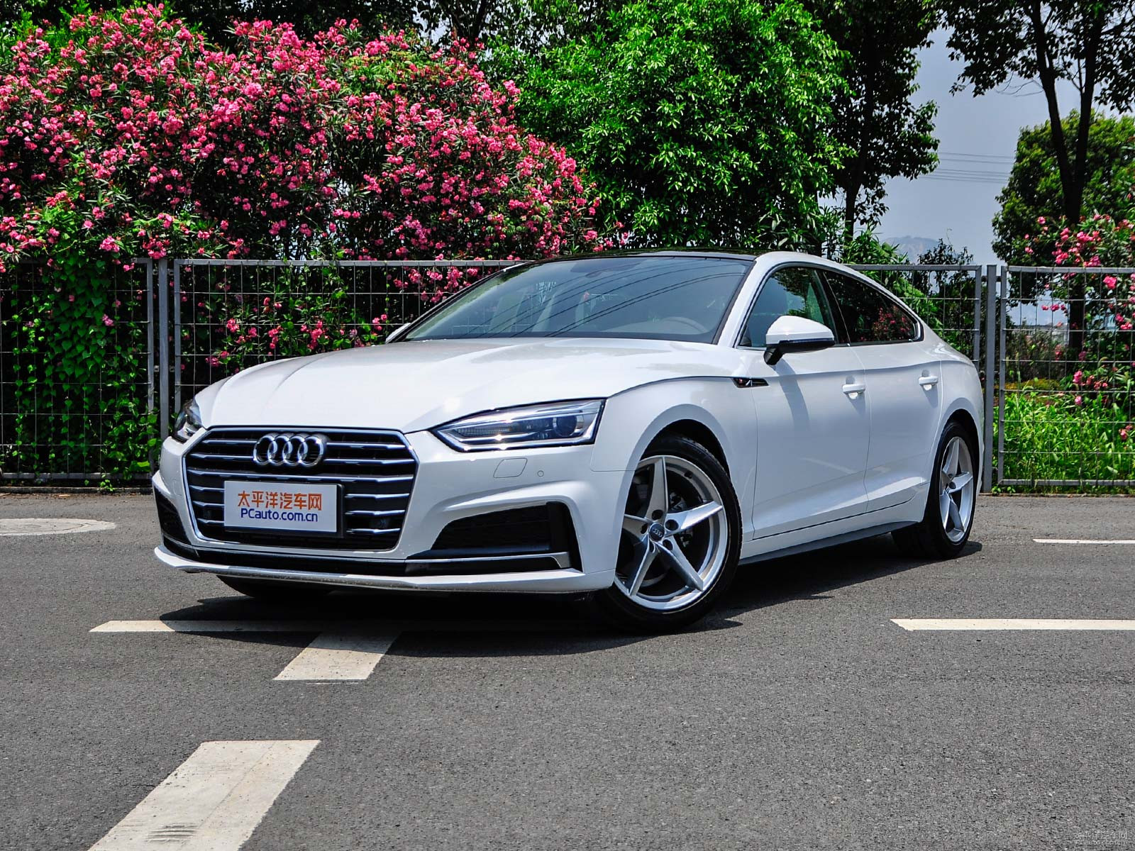 新款奧迪A5價(jià)格及圖片，自然美景探索之旅的絕佳選擇