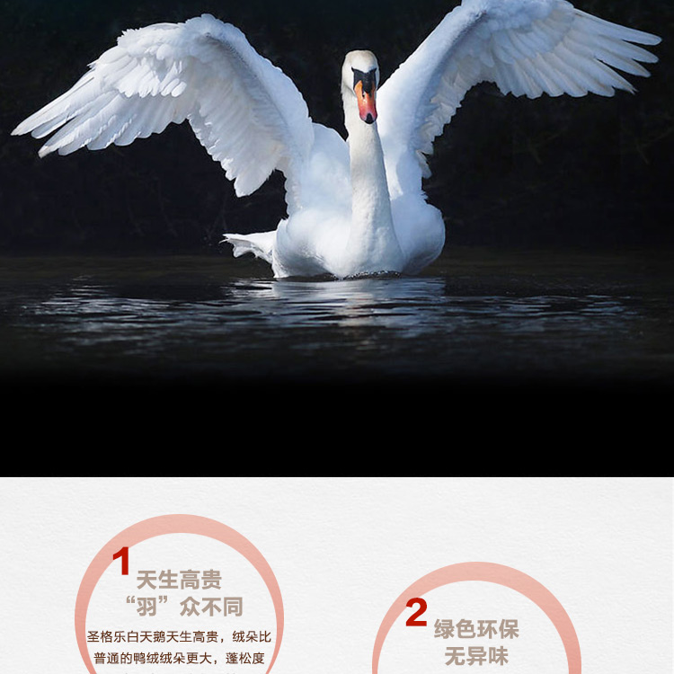 探索小巷羽絨寶藏，90白鵝絨價(jià)格與溫暖故事