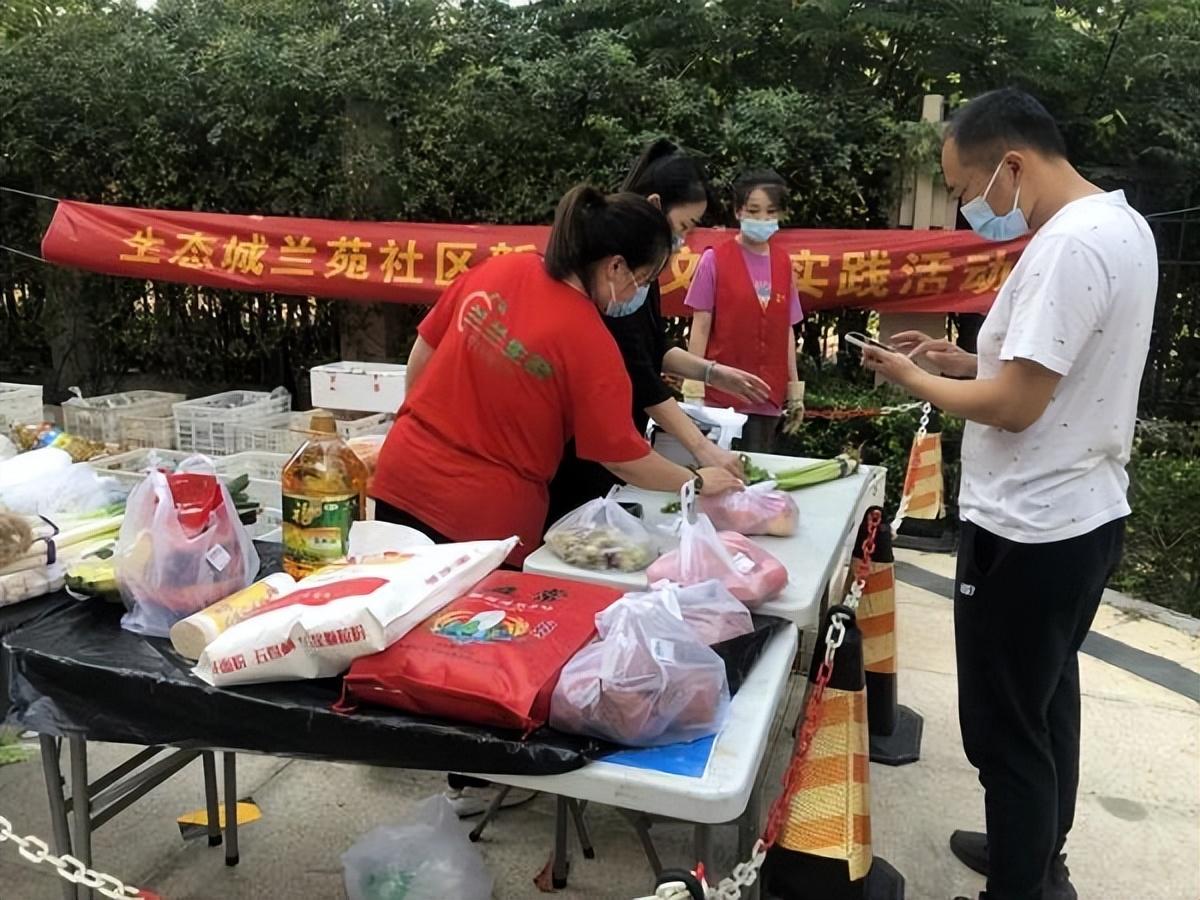 保利華潤紫云價(jià)格深度解析，探尋背后的故事與地位影響