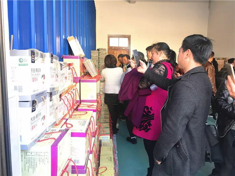 最新職業(yè)資訊，洞悉行業(yè)趨勢與人才需求洞察