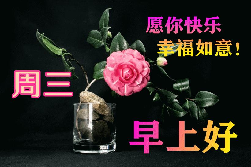 最新早晨問(wèn)候動(dòng)態(tài)表情包，溫馨問(wèn)候，從表情開(kāi)始！