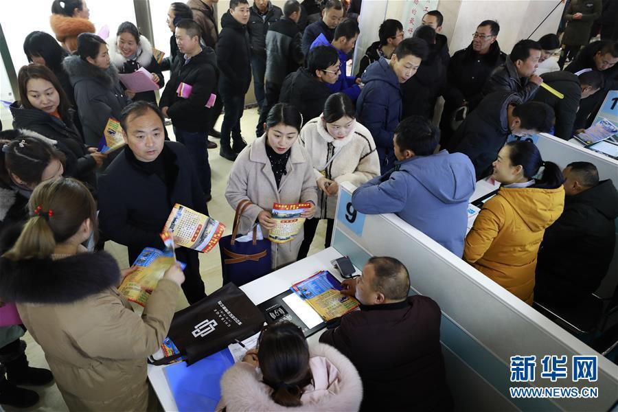 江蘇最新招聘信息揭秘，啟程探索自然美景，尋找內心平和之旅