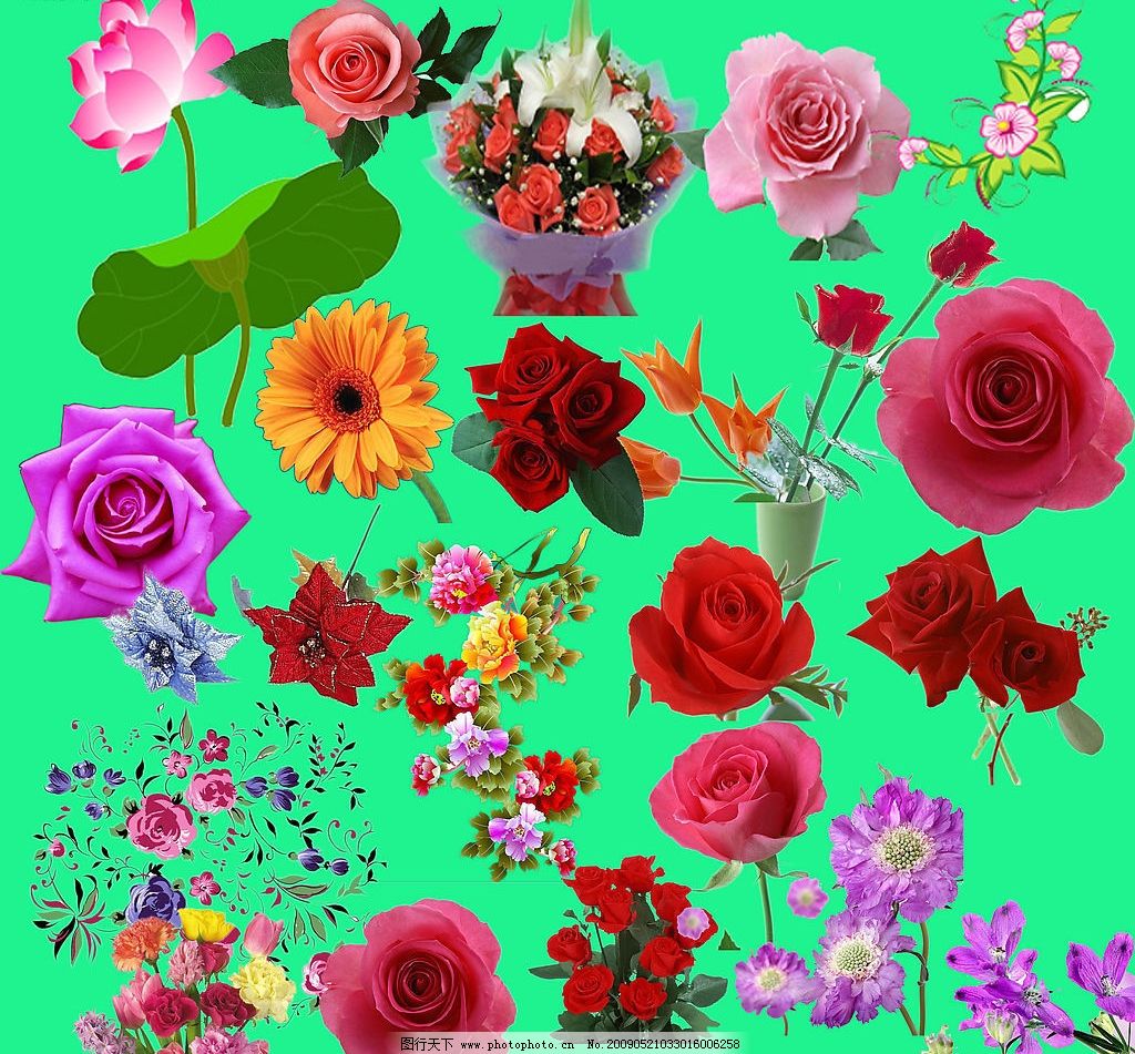 最新花款下載，愛(ài)與陪伴的溫馨之旅