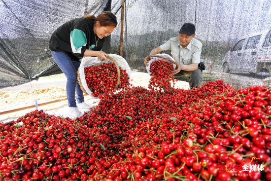 燈飾燈具 第209頁(yè)