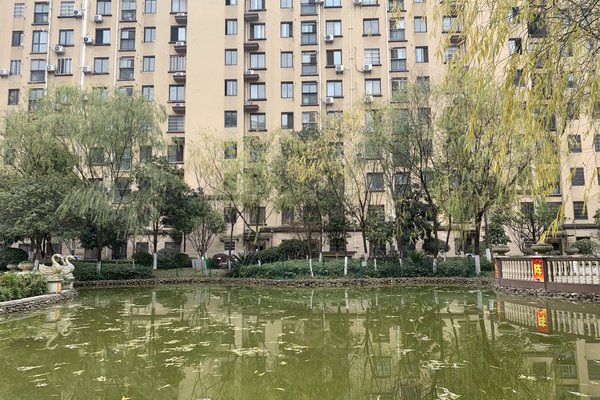 中豪明珠城最新價(jià)格，時(shí)代印記與城市的脈動(dòng)