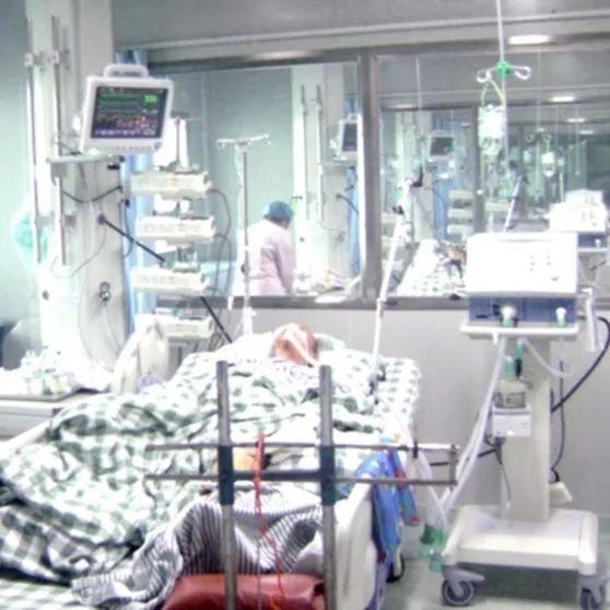 廣東人才招聘信息啟航，探索自然美景，尋覓內心寧靜之旅