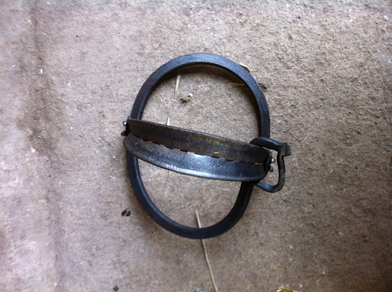 新款野豬夾子，現代狩獵與土地管理的必備利器