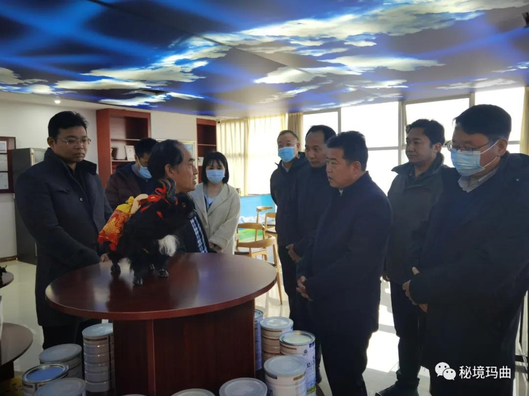 高原之寶上市，學(xué)習、蛻變與自信的輝煌之旅