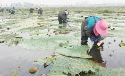 王碼五最新版，鍵盤(pán)上的友情與家的溫馨體驗