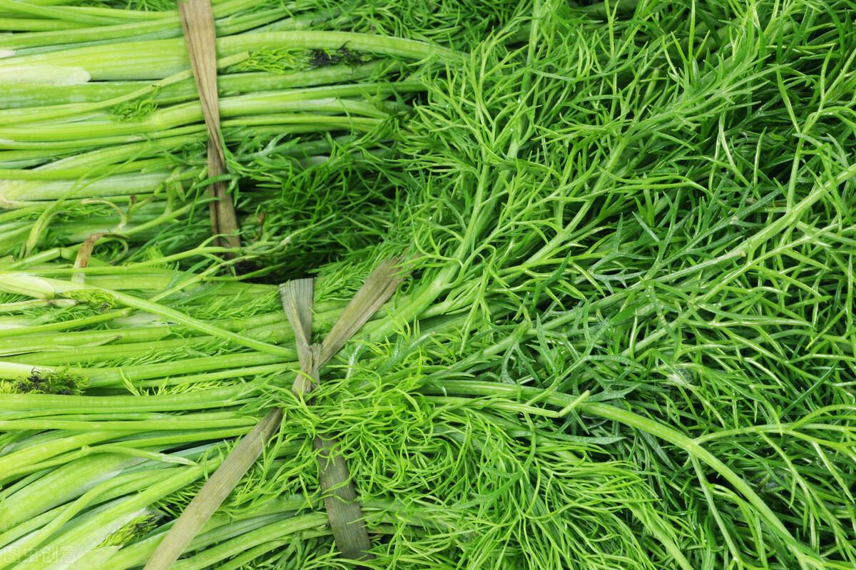 茴香價(jià)格動(dòng)態(tài)，香氣變化與你的關(guān)聯(lián)