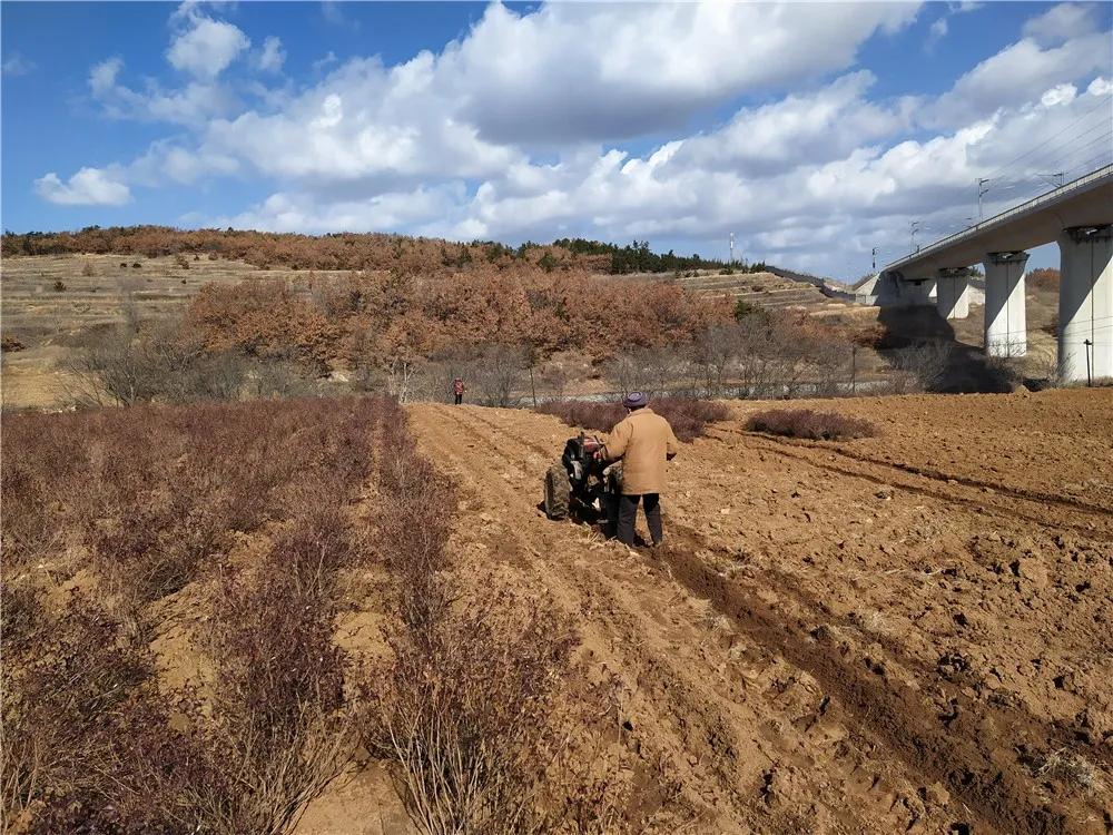揭秘衡陽(yáng)張家山規劃更新，小巷風(fēng)情與隱藏小店的獨特魅力