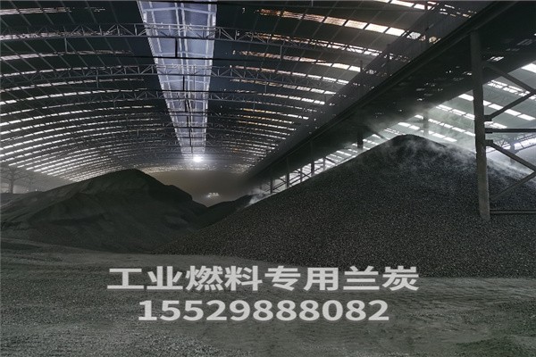 蘭炭?jì)r(jià)格揭秘，背后的故事與影響因素分析