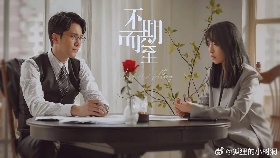 不期而至電視劇，從入門(mén)到進(jìn)階的觀(guān)看指南