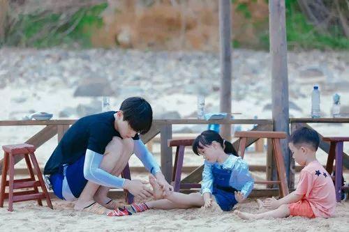 最新TV版資訊深度剖析，電視劇熱潮的影響力與影響