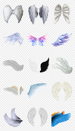 動(dòng)漫翅膀繪制指南，從白紙起步，繪出飛翔的勵志翅膀！