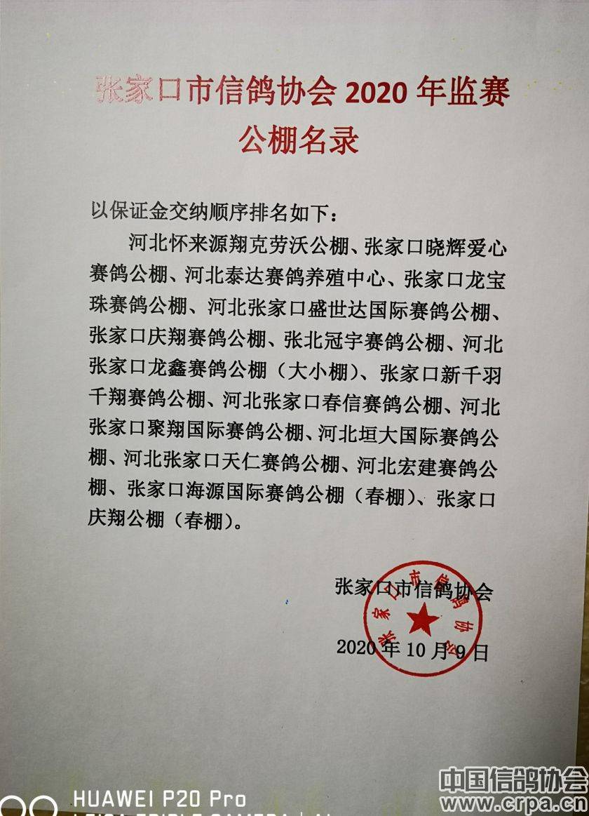 東光信鴿協(xié)會(huì )最新通告，小巷深處的獨特風(fēng)味揭秘與信鴿活動(dòng)更新通知