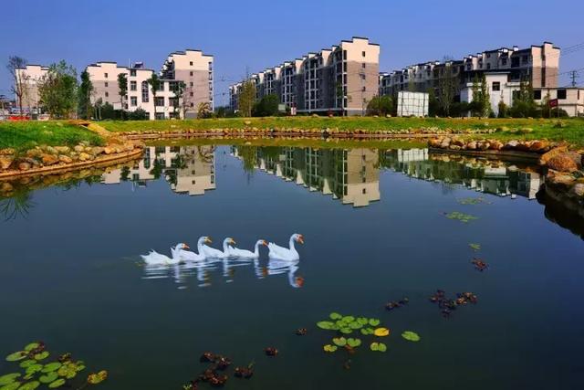 萍鄉安源湖，最新動(dòng)態(tài)揭示湖畔變革與自我超越之旅