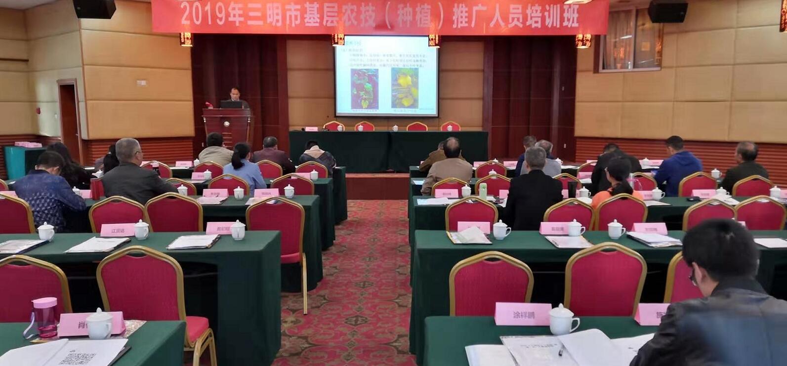 豇豆最新，廚房中的友情與家的溫馨