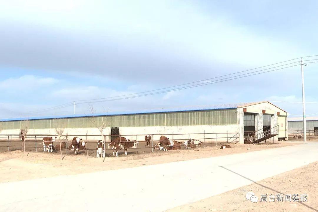 最新養殖場(chǎng)建設政策解讀，探索之旅啟程