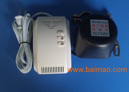 燃氣報警器價(jià)格深度探索，小巷獨特小店里的燃氣報警器價(jià)格揭秘！