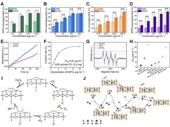 頭發(fā)再生研究新動(dòng)態(tài),頭發(fā)再生研究新動(dòng)態(tài)，小巷深處的秘密秀發(fā)實(shí)驗室