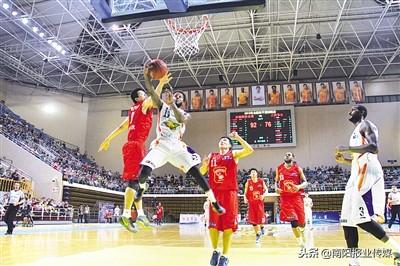 南陽(yáng)市區面積最新數據解析及概況