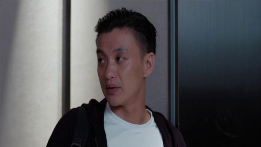 郭鑫年最新動(dòng)態(tài)揭秘，小巷特色小店探索之旅