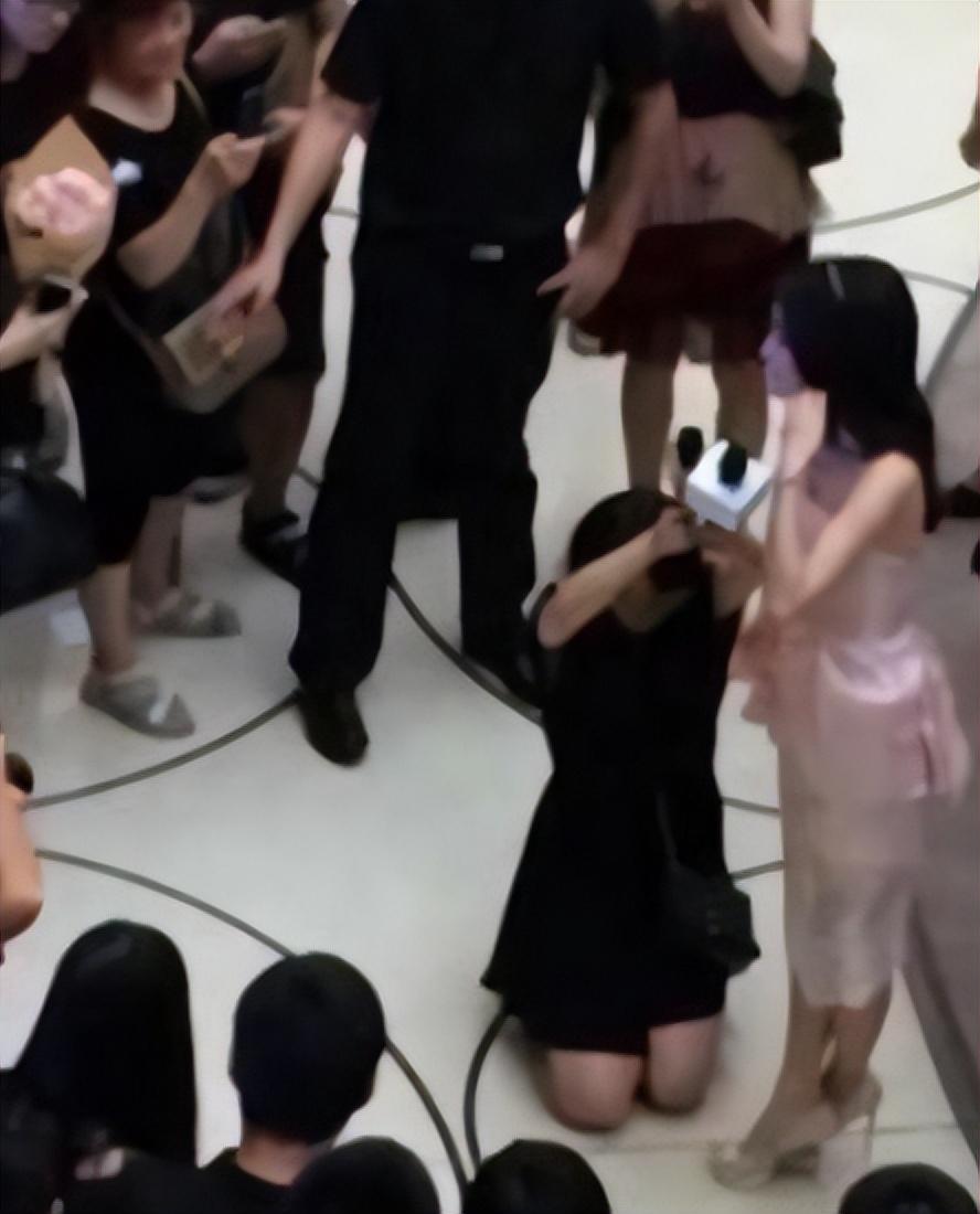 明星麥克風(fēng)，自然之旅的心靈探尋，尋找內心的寧靜之聲