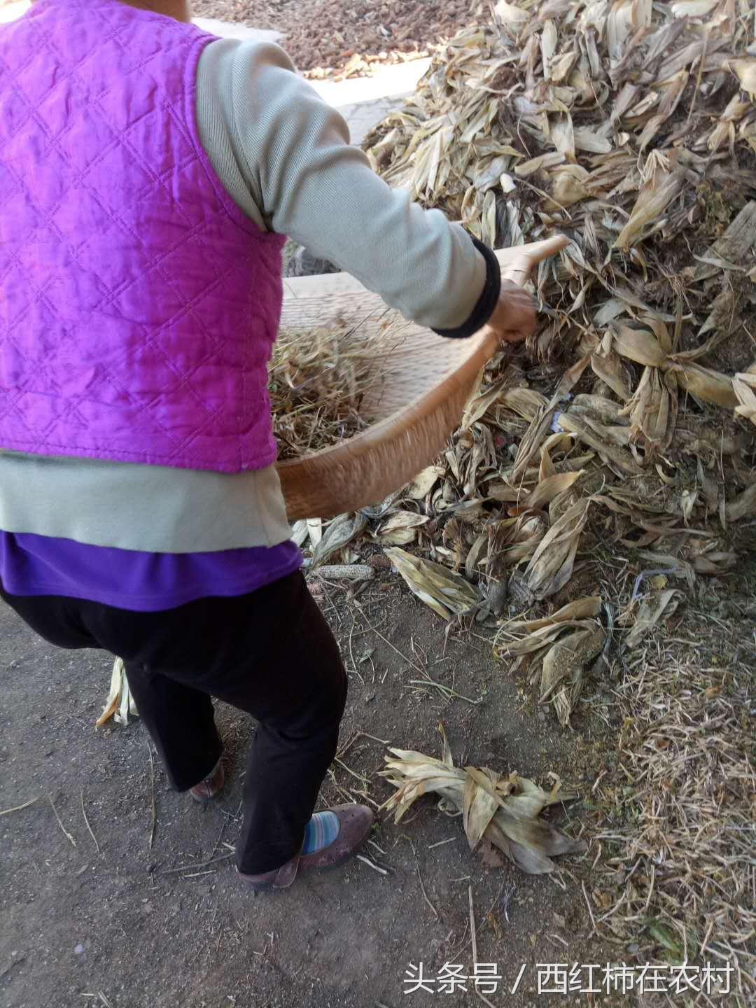 彬縣撤縣設區最新進(jìn)展，最新動(dòng)態(tài)更新