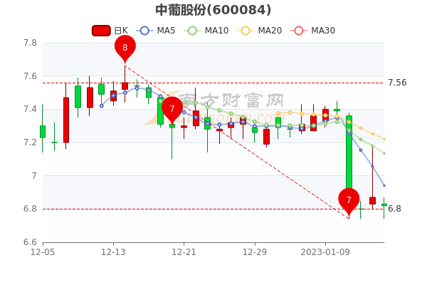 中葡股份股票行情深度分析與展望，未來(lái)走勢展望及行業(yè)前景預測。