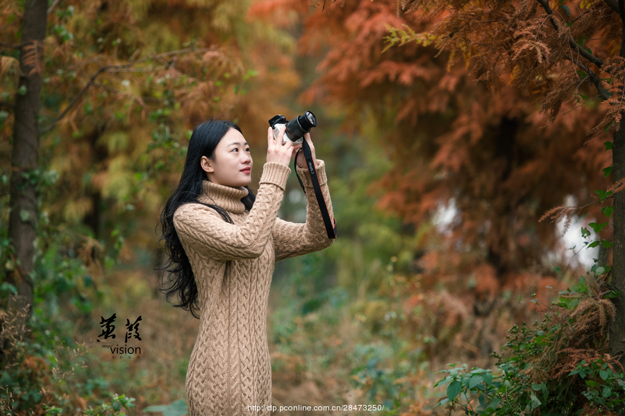 伊人在線(xiàn)電影，探索現代網(wǎng)絡(luò )影視的新境界