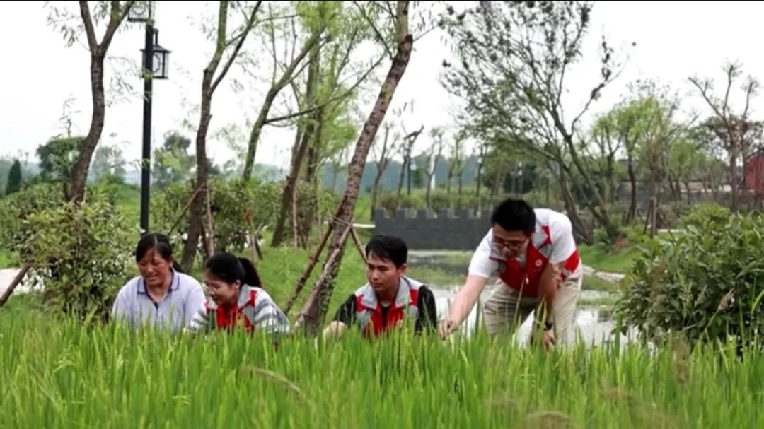 曲陽(yáng)縣城最新招聘信息揭秘，小巷中的獨特小店等你來(lái)探索！