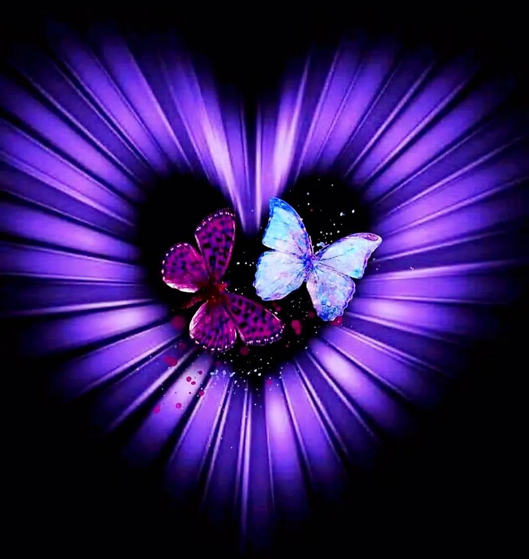 最新情感交流圈，學(xué)習、成長(cháng)與自信的力量之源