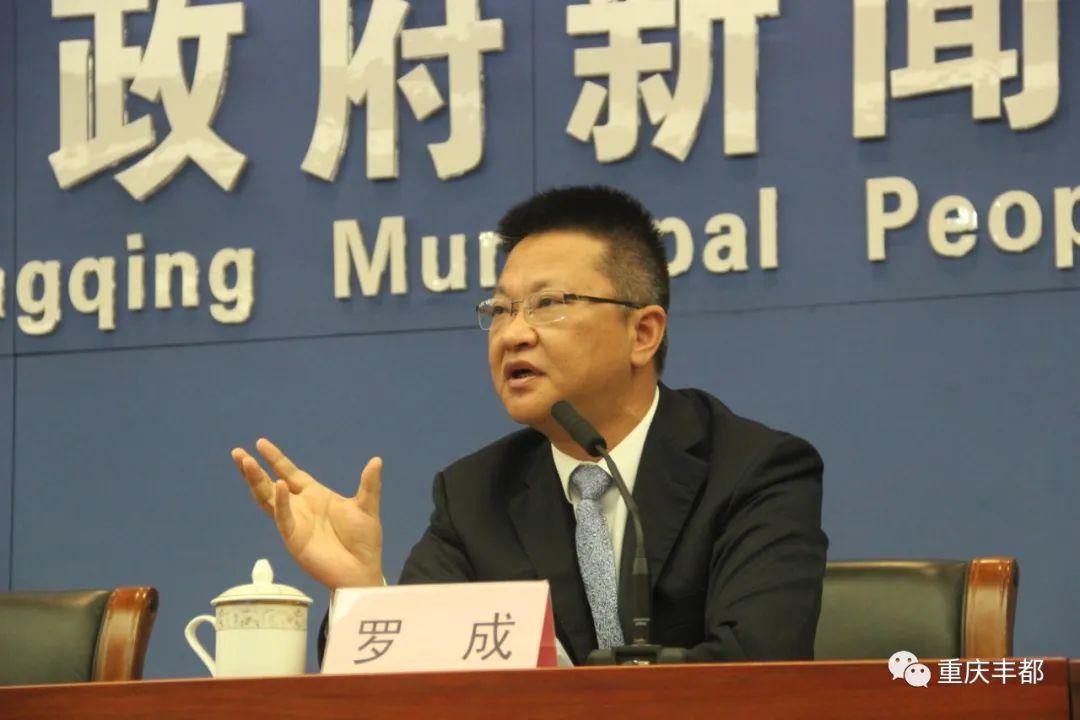 豐都新聞快訊，日常溫情與陪伴的瞬間