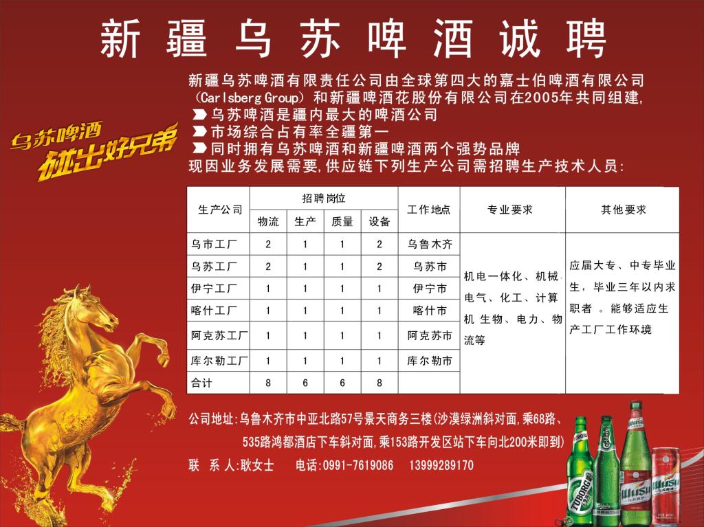 烏蘇政府最新招聘公告，應聘指南全解析