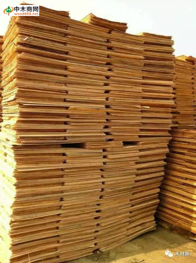 科技革新引領(lǐng)板皮廠(chǎng)行情，開(kāi)啟板材加工新時(shí)代