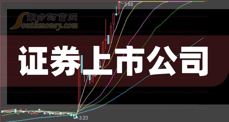 科技巨頭引領(lǐng)下的全新視界，股票上市公司概覽