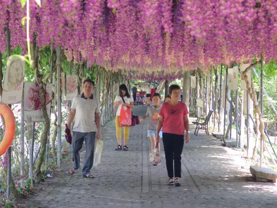 收入寶全新版本，家庭與友情的交織故事