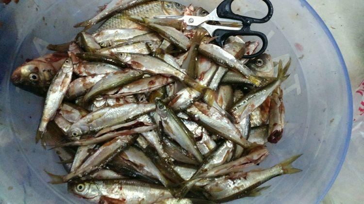 昆明最新野釣地點(diǎn)探索，重拾生活激情與自信的自然之旅