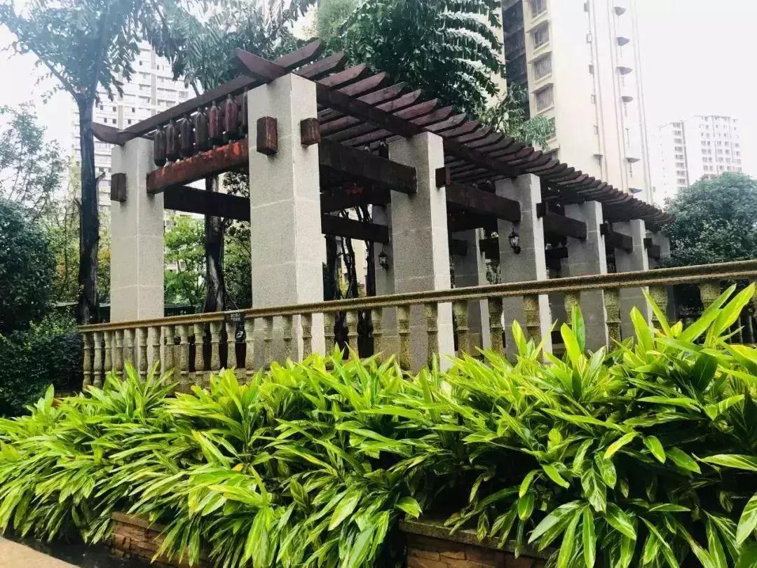 陽(yáng)光江山金岸最新動(dòng)態(tài)揭秘，全面指南與步驟詳解