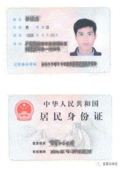 最新證照，友情與陪伴的溫馨故事之旅