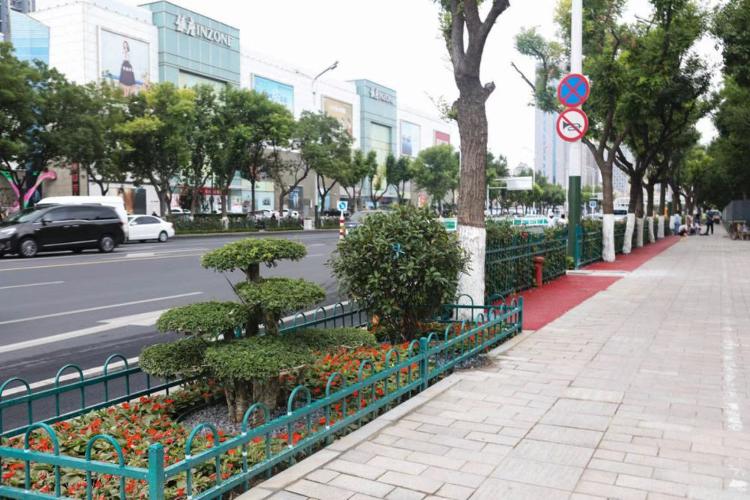 濰坊市奎文區改造工程，自然美景的探索之旅