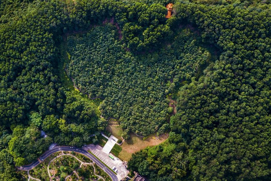 香港演員林，溫馨日常的點(diǎn)滴記錄