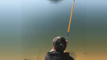 楊柏文最新垂釣視頻，從初學(xué)者到進(jìn)階用戶(hù)的技能提升指南