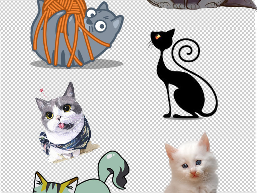 動(dòng)漫小貓圖片，制作指南與精選圖片欣賞