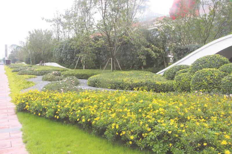 嬢王演員的自然之旅，邂逅美景，尋找內心平和之道