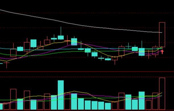 融捷最新公告詳解，任務(wù)完成指南與技能學(xué)習步驟全面解析