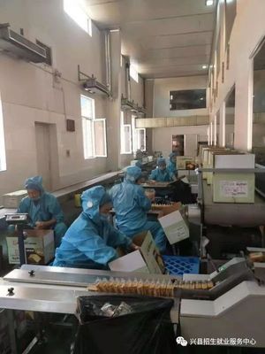 朝陽(yáng)食品廠(chǎng)誠邀英才共創(chuàng  )未來(lái)輝煌