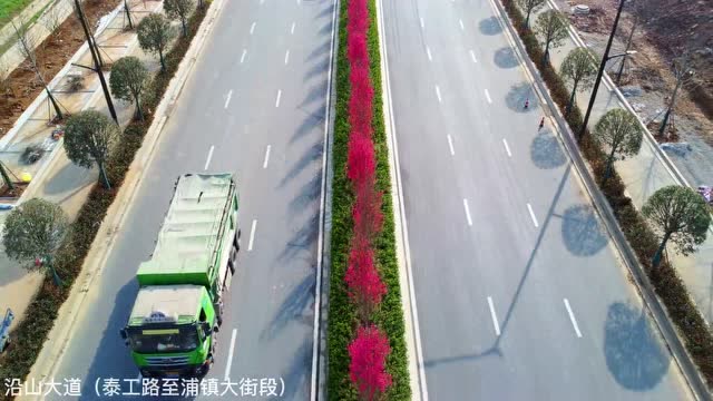 關(guān)花大道最新進(jìn)展，矚目盛景呈現！