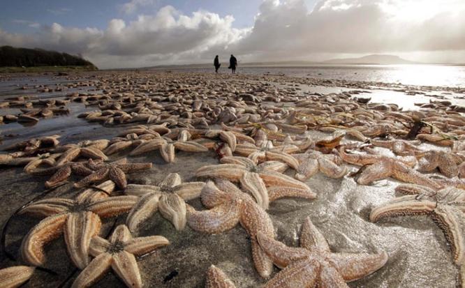 死亡擱淺電影，小巷深處的獨特觀(guān)影之旅